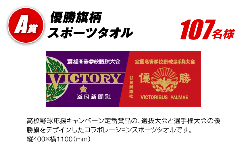 A賞 優勝旗柄スポーツタオル 107名様