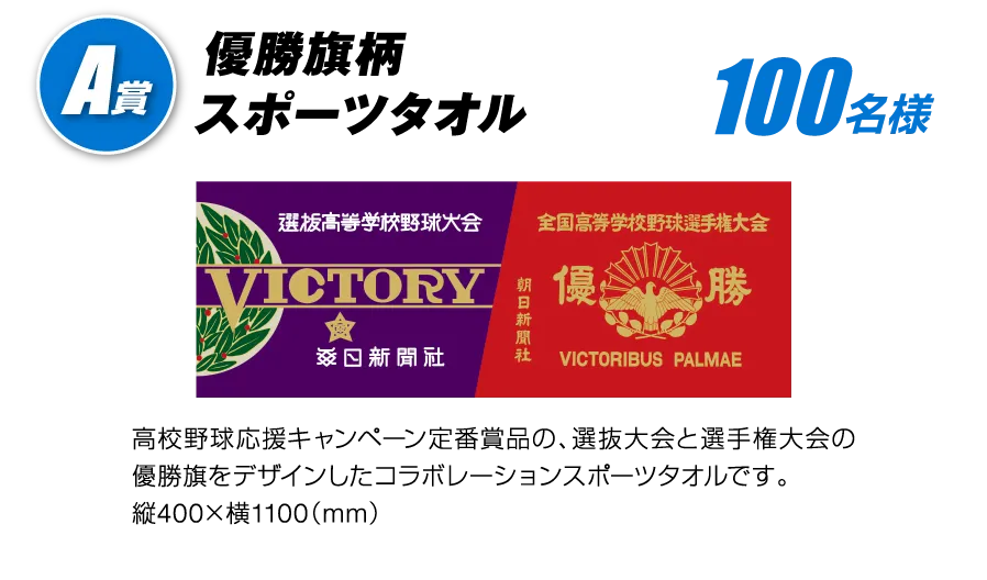 A賞 優勝旗柄スポーツタオル 100名様