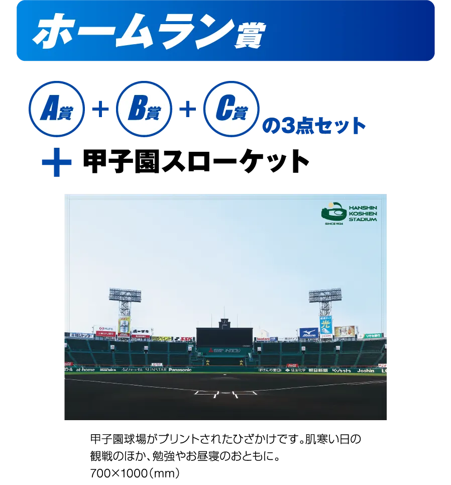 ホームラン賞 A賞+B賞+C賞の3点セット+甲子園スローケット 10名様
